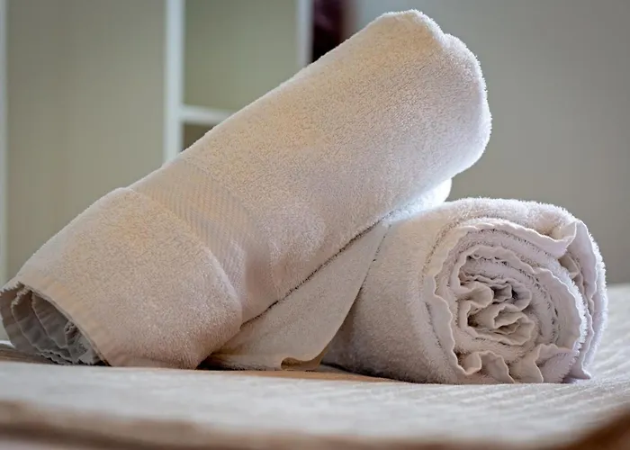 Apartment Roxane Spacious 3-bedroom With Terrace And Parking Just Steps Rouen